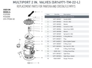 MULTIPORT VALVE 50MM PENTAIR PSF33 1