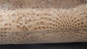 Table Cover Lace Waterproof Beige 1370mm